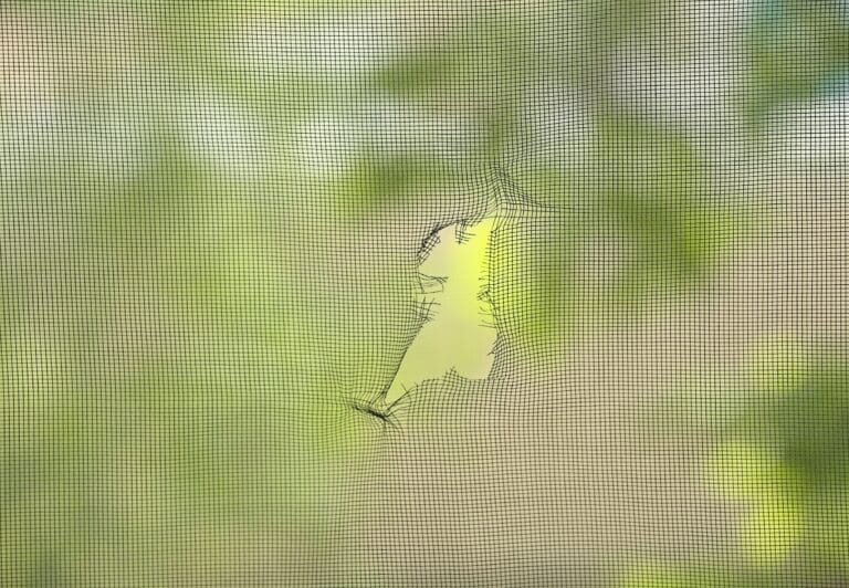 Torn window screen, closeup